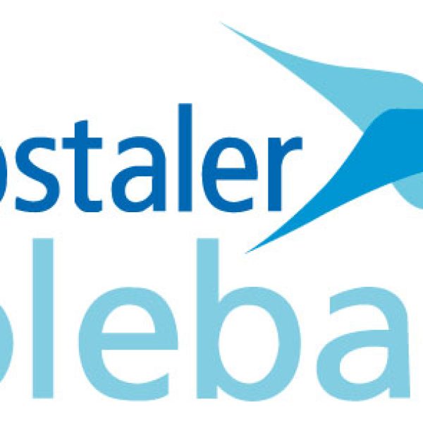 Ybbstaler Solebad - Logo