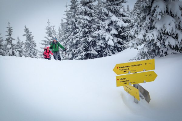Skitour Kragelschinken - Alpenverein Oberes Ybbstal